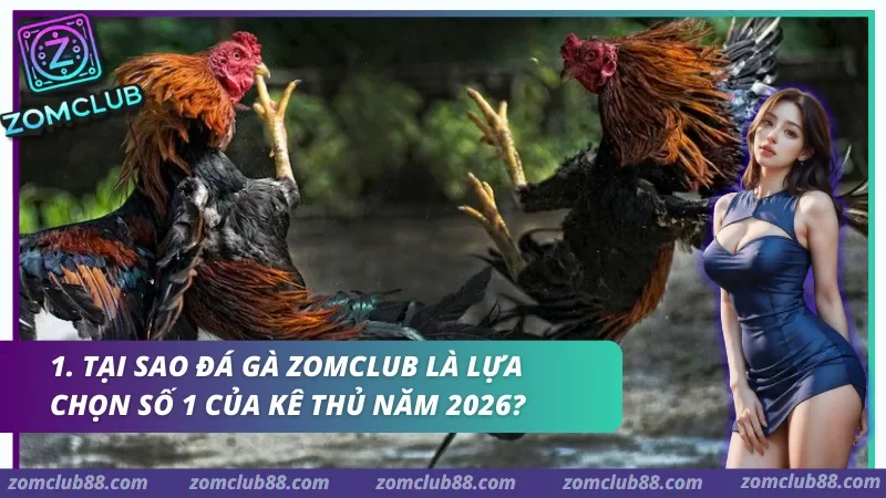 Hai gà chọi giơ chân giao đấu trong ảnh kinh nghiệm đá gà Zomclub